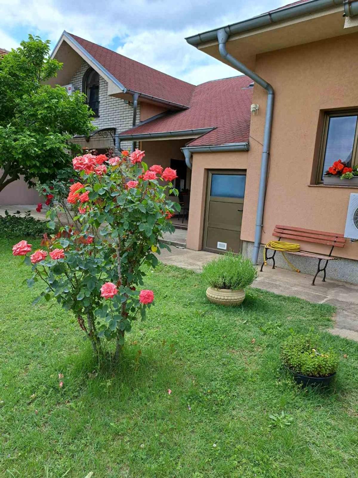 Villa Nena Kladovo Exterior photo
